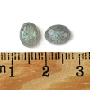 Natural Labradorite Cabochons X-G-A094-01B-11-3