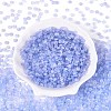Baking Paint Glass Seed Beads GLAA-T023-43C-1