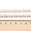 Natural Cultured Freshwater Pearl Beads Strands PEAR-I007-01D-04A-5