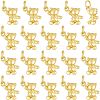 CHGCRAFT 20Pcs Alloy Charms KK-CA0003-59-1