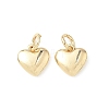 Brass Pendants KK-D386-06G-1