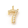 Ion Plating(IP) 304 Stainless Steel Micro Pave Cubic Zirconia Pendants STAS-H228-01G-07-1