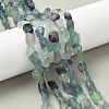 Natural Fluorite Beads Strands G-G018-62D-5