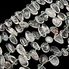 Natural Green Lodolite Quartz Beads Strands G-P604-A20-01-2