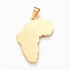 304 Stainless Steel Pendants STAS-F168-43G-2