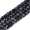 Natural Sapphire Beads Strands G-N342-111-1