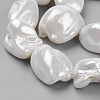 Shell Pearl Beads Strands X-BSHE-K010-08A-2