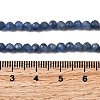 Natural Kyanite Beads Strands G-F799-E01-4mm-5