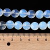 Opalite Beads Strands G-K357-B17-01-5