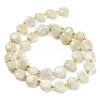 Natural Moonstone Beads Strands G-H005-B08-01-3