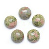 Natural Unakite Cabochons G-P393-R31-10mm-1