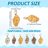 120Pcs 2 Colors Natural Shell Pendants FIND-ME0002-50-2