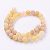 Natural Weathered Agate Beads Strands G-G589-10mm-02-2