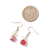 304 Stainless Steel Gift Dangle Earrings EJEW-JE06684-4