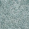 Transparent Czech Glass Seed Beads SEED-N004-005-C05-4