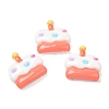 Opaque Resin Imitation Food Decoden Cabochons RESI-Z007-01D-1