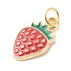 Alloy Enamel Pendants PALLOY-JF01508-4