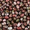 Picasso Glass Seed Beads SEED-N012-10L-3