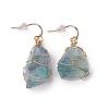 Natural Fluorite Dangle Earrings EJEW-F228-A04-2