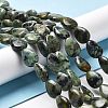 Natural African Turquoise(Jasper) Beads Strands G-L585-F01-01-2