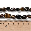 Natural Tiger Eye Beads Strands G-P497-01E-46-5