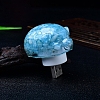 Resin Pig Shape USB Night Light PW-WG82AA3-03-1