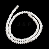 Natural Freshwater Shell Beads Strands SHEL-C010-04B-02-3
