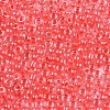 (Repacking Service Available) 8/0 Glass Seed Beads SEED-C025-3mm-2211-2