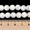 Natural Selenite Beads Strands G-G167-A02-01-5