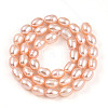 Natural Cultured Freshwater Pearl Beads Strands PEAR-N012-AA-02-3