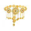 Alloy Colorful Rhinestone Flower Coin Tassel Waist Belly Chains for Women FS-WGD7CCF-01-2