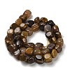 Natural Petrified Wood Beads Strands G-P497-01E-72-3