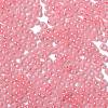 Glass Seed Beads X1-SEED-H002-E-A1409-3