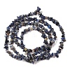 Natural Sodalite Chips Beads Strands X-F024-8