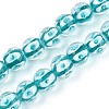 Handmade Lampwork Beads Strands LAMP-N028-20C-1