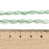 Natural Freshwater Shell Beads Strands SHEL-C010-01A-4