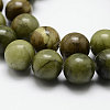 Natural Gemstone Beads X-Z0SRR015-3