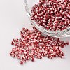 12/0 Opaque Colours Seep Glass Beads SEED-M008-C10-1