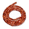 Natural South Red Agate Beads Strands G-Z074-A02-01B-3