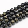 Natural Golden Sheen Obsidian Beads Strands G-R446-12mm-23-1