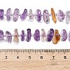 Natural Ametrine Beads Strands G-Z124-A02-01-5