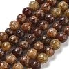 Natural Gemstone Beads Strands G-H045-A01-10MM-2