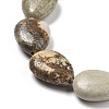 Natural Picture Jasper Beads Strands G-P528-L24-01-4