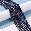 Natural Sodalite Beads Strands G-C240-04A-2