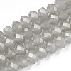 Glass Beads Strands EGLA-A034-J6mm-D10-1