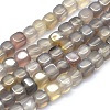 Dyed Natural Agate Beads Strands G-F583-12-2