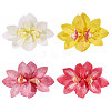 PVC Alligator Hair Clips PHAR-WH0011-18-1