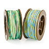 2 Rolls 2 Colors Segment Dyed Round Polyester Twisted Cords OCOR-TA0003-59A-2