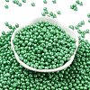 6/0 Glass Seed Beads X1-SEED-L011-08A-15-2