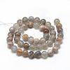 Natural Black Sunstone Beads Strands G-R446-8mm-33-2